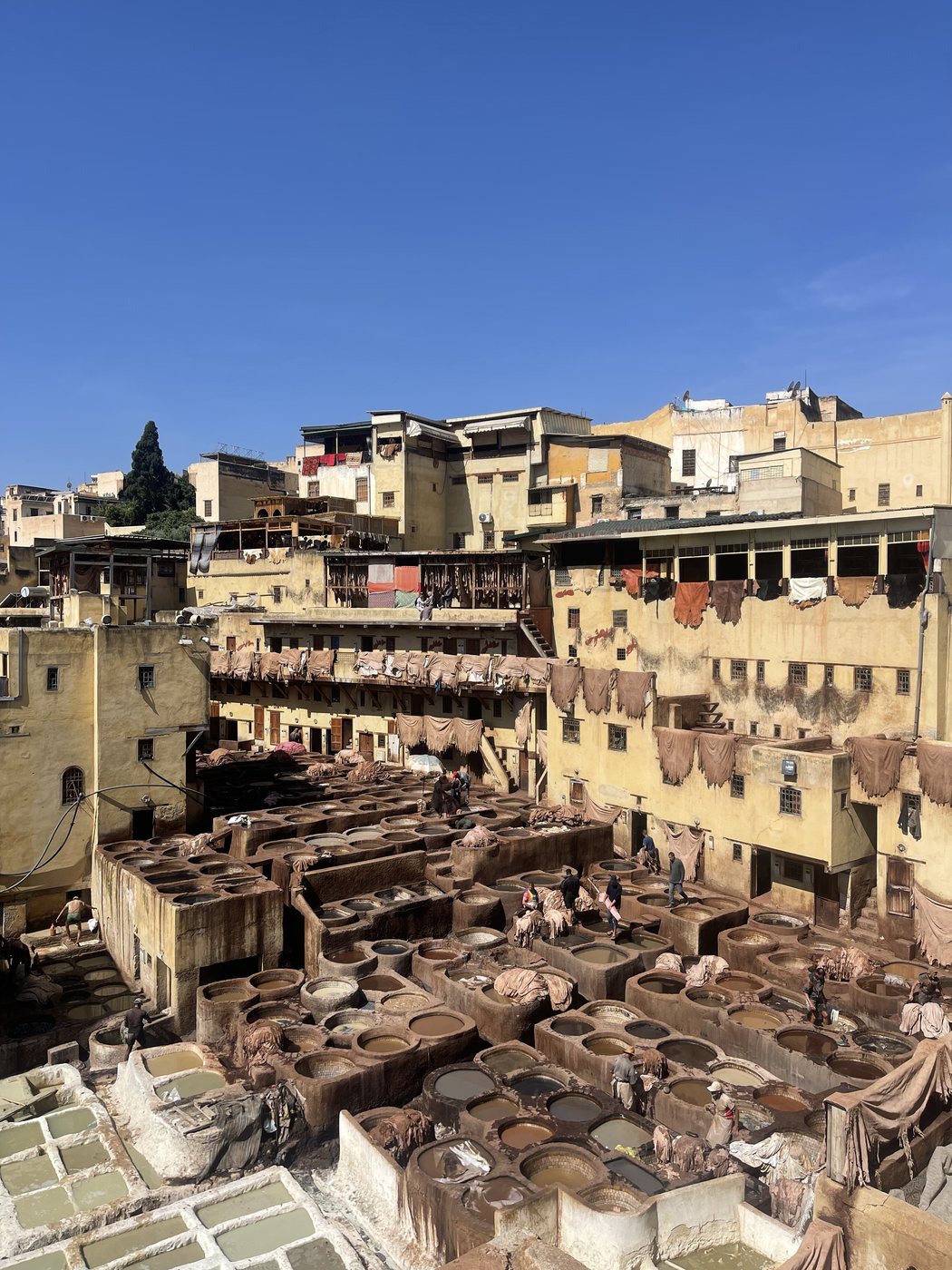 Fes